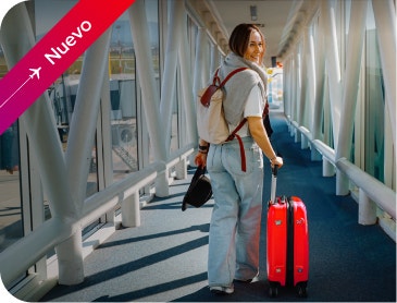 Equipaje de mano incluido