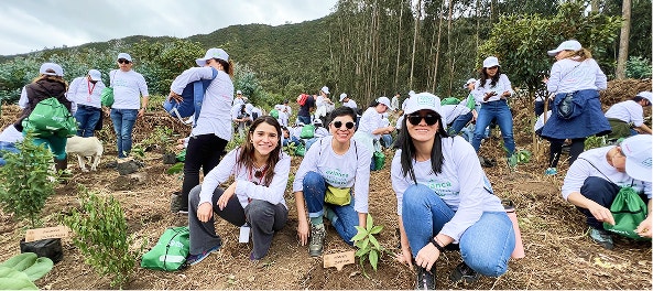 Estrategia ambiental