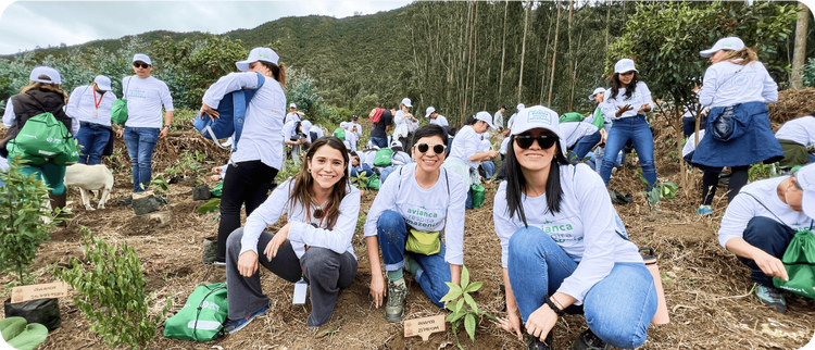 Stratégie environnementale