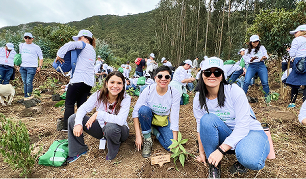 Stratégie environnementale